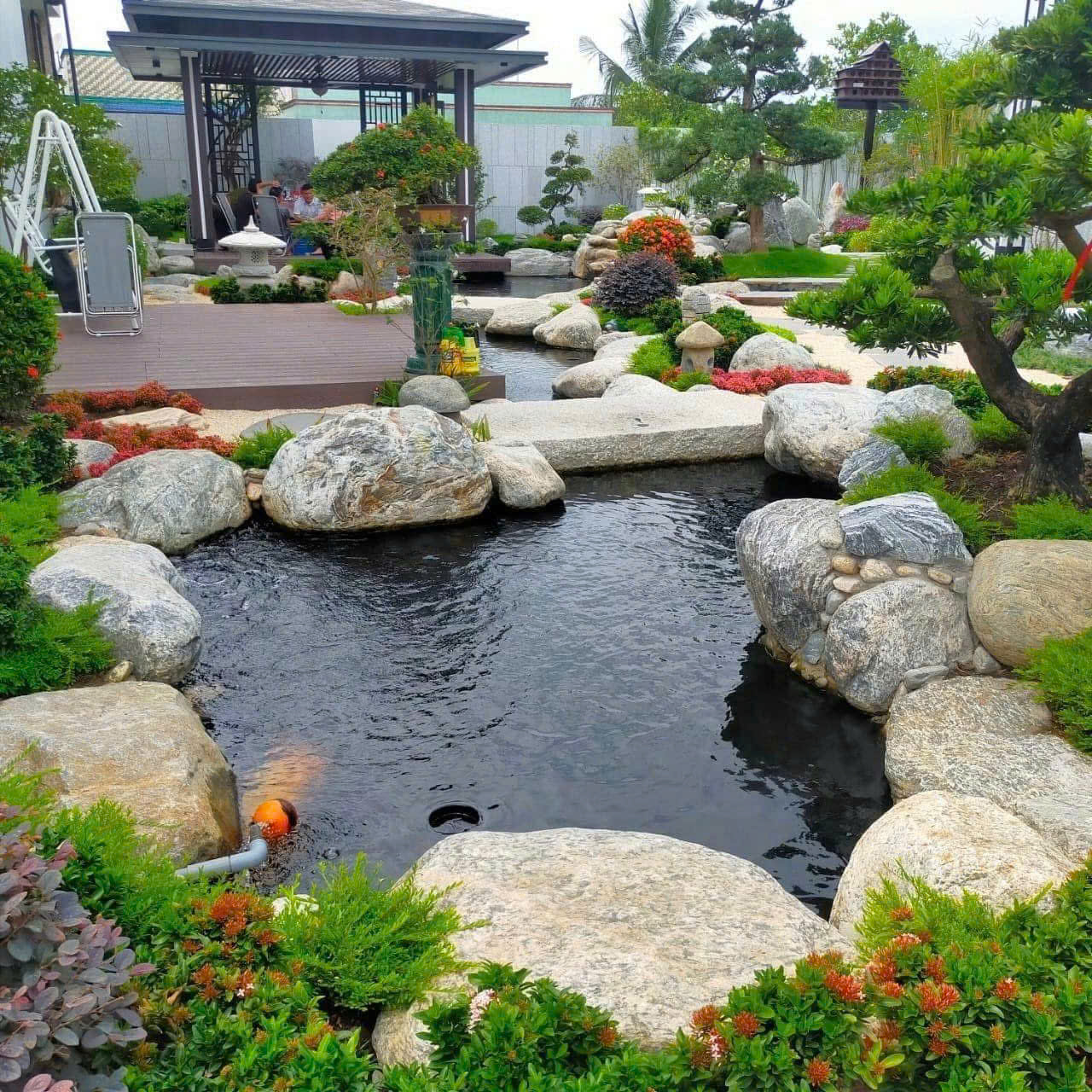 Hồ cá Koi trong sân vườn