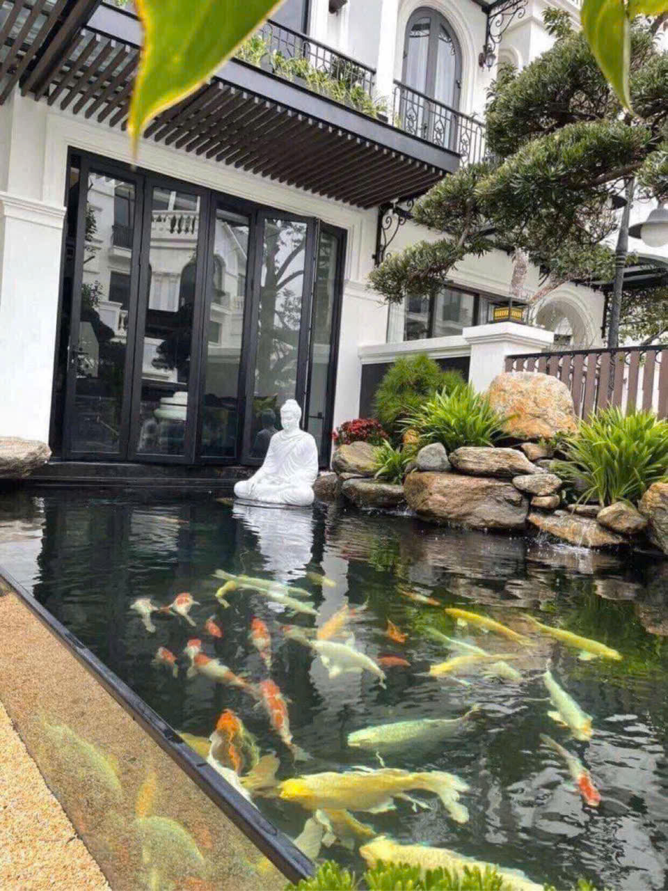 Nghệ nhân thi công hồ cá Koi